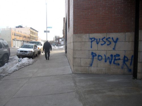 PUSSY POWER