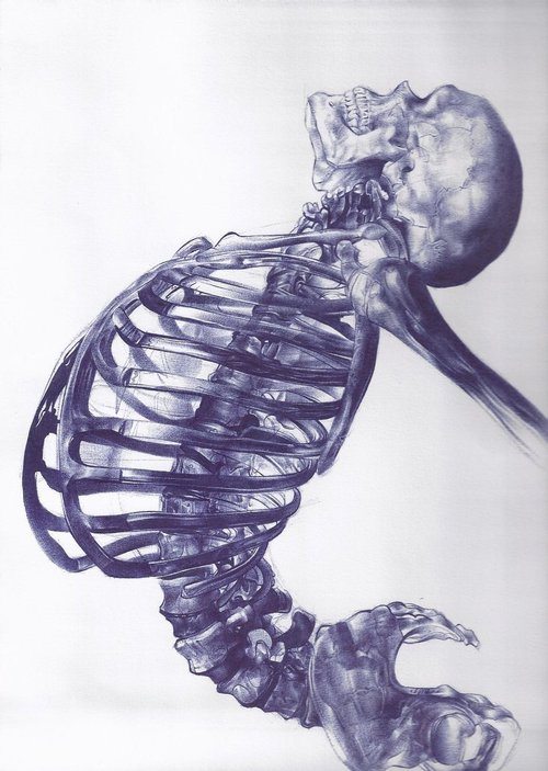 Ballpoint pen drawing by Andrea Schillaci.
