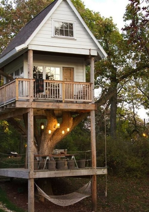 Real Tree House