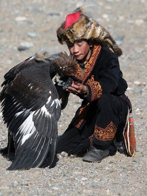 Mongolia Falconry Kazakhs