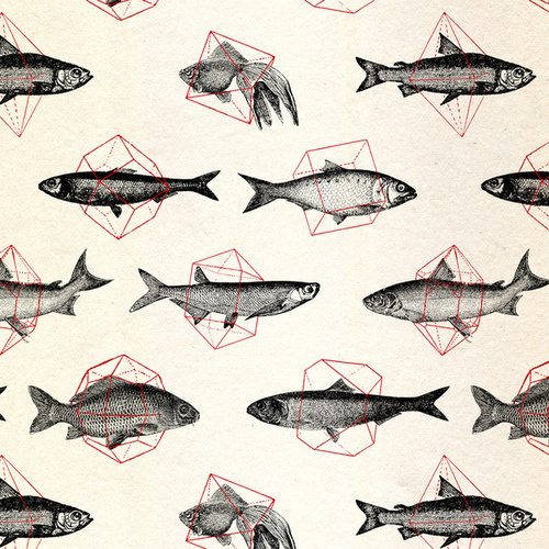 Fishes In Geometrics by Florent Bodart